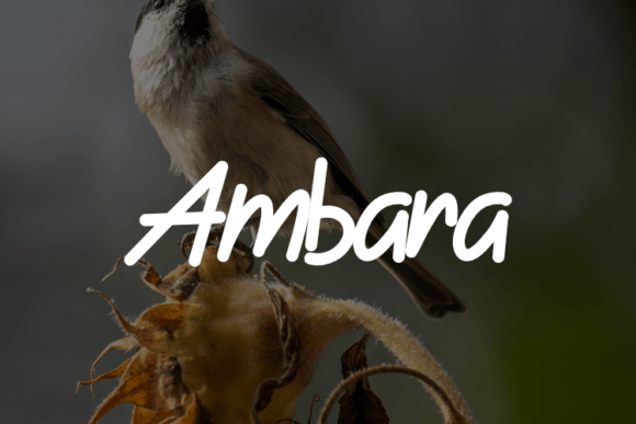 Ambara: The Script Handwritten Font That Elevates Small Business Branding