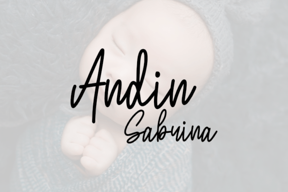 Andin Sabrina: A Sophisticated Script Typeface for Web Design