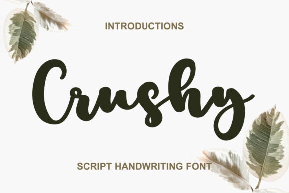 Crushy: The Elegant Script Typeface for Marketers